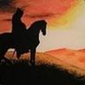ShadowRider