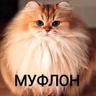 муфлон