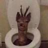 Jebnuty vytah