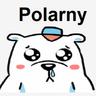 Polarny