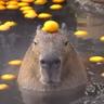 水