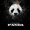 PANDA🐼