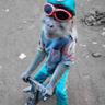 Singe au four