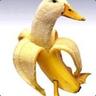 Nardew