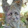(Tree) Darvo