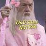 Gaydalf the Pink
