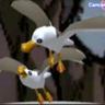 Seagull