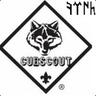 •CubScout