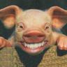 PUERCO COFFE