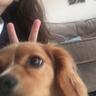 izzy
