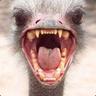 Ostrich Farmer