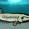 Uijumaa