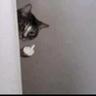 Evil