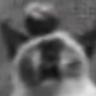 fildo daggins ( ͡° ͜ʖ ͡°)