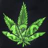 ４ ２ ０ |   Nicremo
