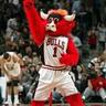 Benny the Bull