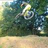 WhiP