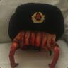 Comrade Headcrab Pasha
