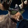 MooseKnowsAll