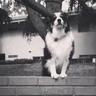 rip.cody☃ <3