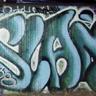 Samp