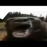Анальный дебошир