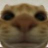 AndreyRussian89