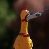 Janky Cock