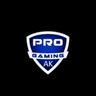 pro-gaming-ak