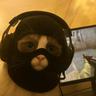 undercover
