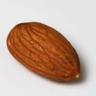 Right Nut