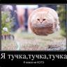 с 14 февраля)