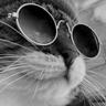 Zopaho