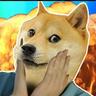 Doge144p