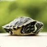 SleepyTurtle