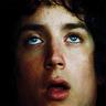 Frodo Muggins