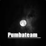 PumbaTeam_