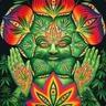 ChiefSmallDick \//\