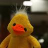 slowduck