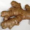 150KG BUFFED GINGER