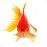 Fisken