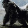 Kong