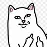 c@tloaf