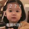 猪叫我