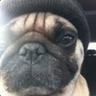 Mops