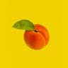 Peach Fuzz