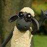 ShaunOCarneiro