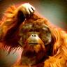 Chewbacca
