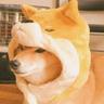 >>>pYr@<<<