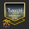 BaXcH
